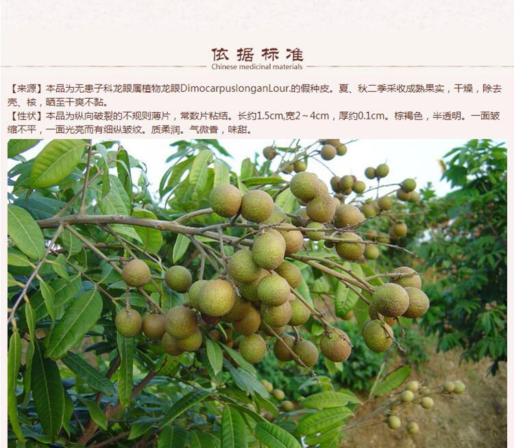 桂圆6.jpg