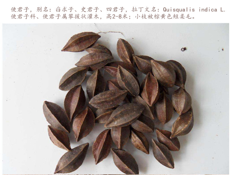 使君3.jpg
