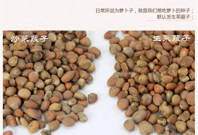 莱菔子5.jpg