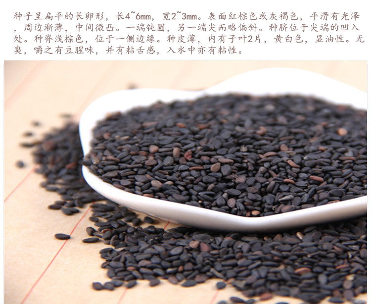 胡麻子5.jpg