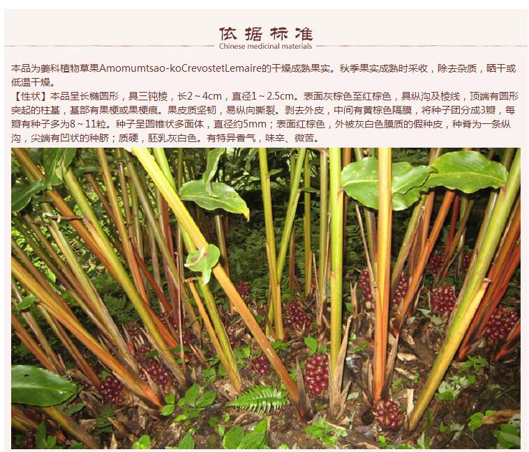 草果选个6.jpg