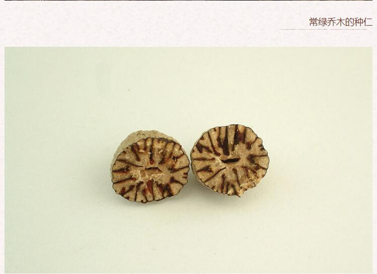 肉豆蔻3.jpg
