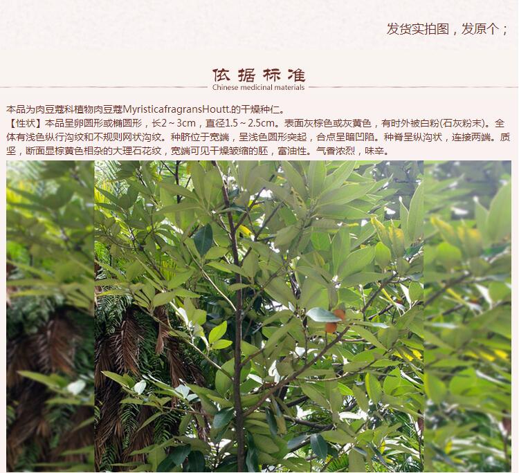 肉豆蔻5.jpg