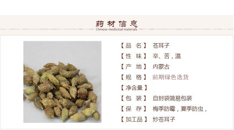 苍耳子 1_副本.jpg