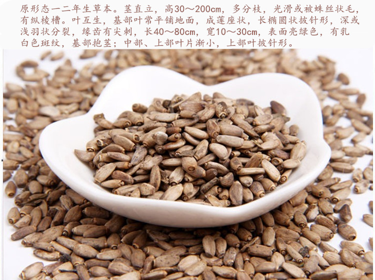 小飞蓟5.jpg