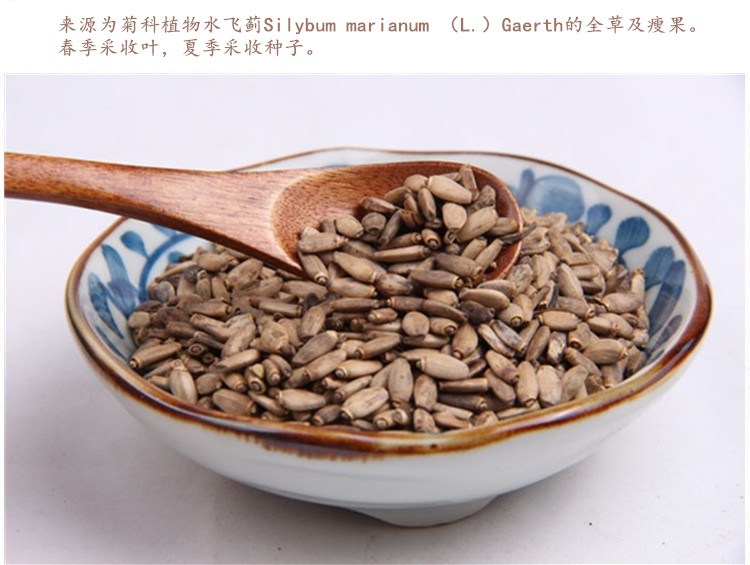 小飞蓟4.jpg