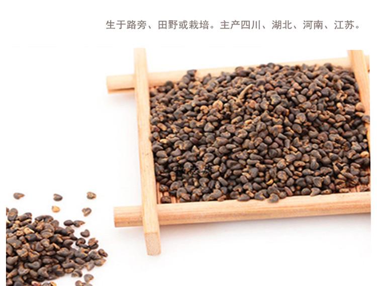 苘麻子5.jpg