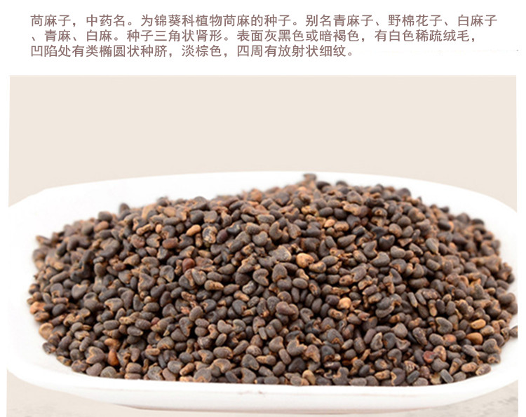 苘麻子2.jpg