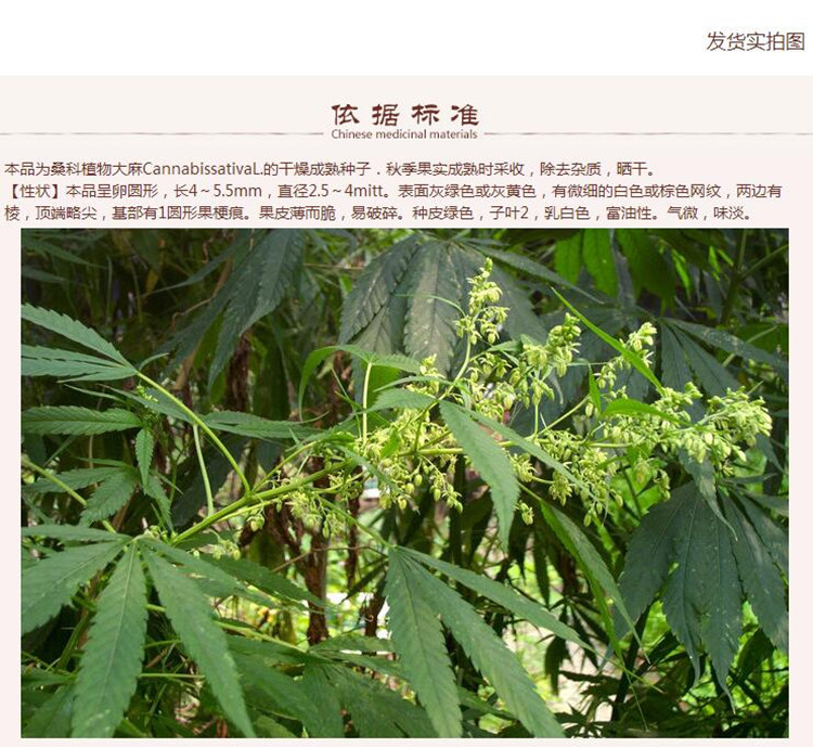 火麻仁5.jpg