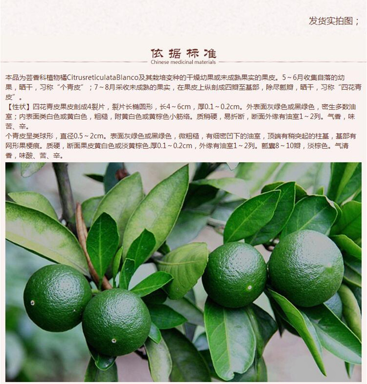 青皮6.jpg