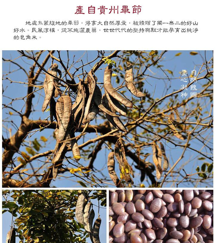 xin皂角米6.jpg