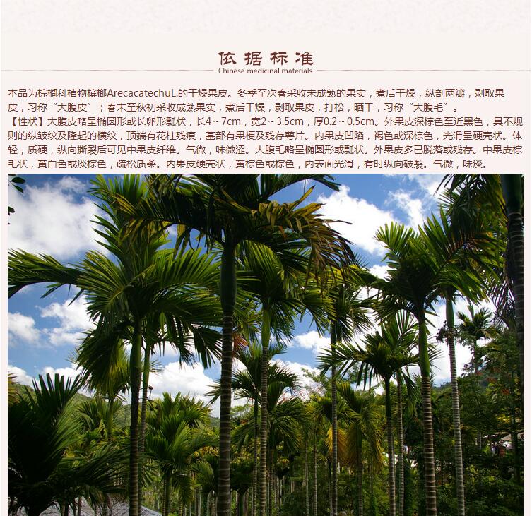 大腹皮6.jpg