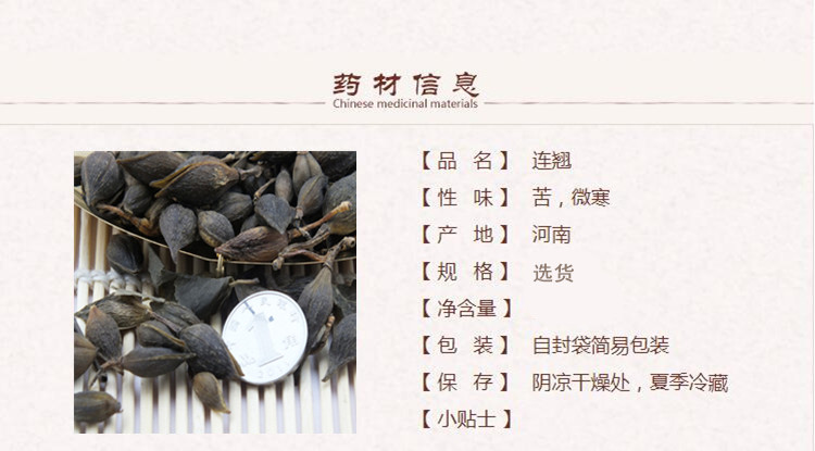 11连翘2 (2).jpg