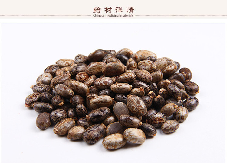 蓖麻籽2.jpg