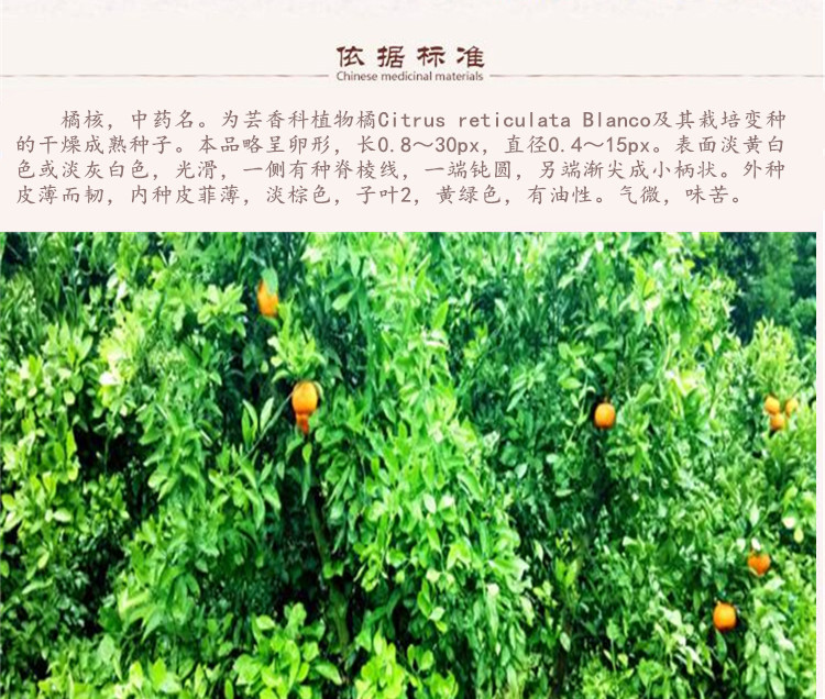 橘核2.jpg