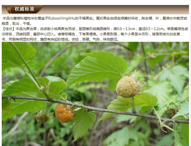 覆盆子9.jpg
