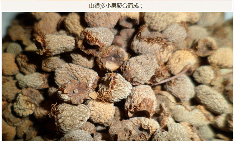 覆盆子7.jpg