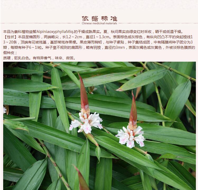 益智6.jpg