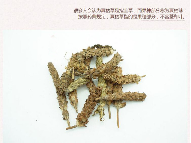 夏枯草3.jpg