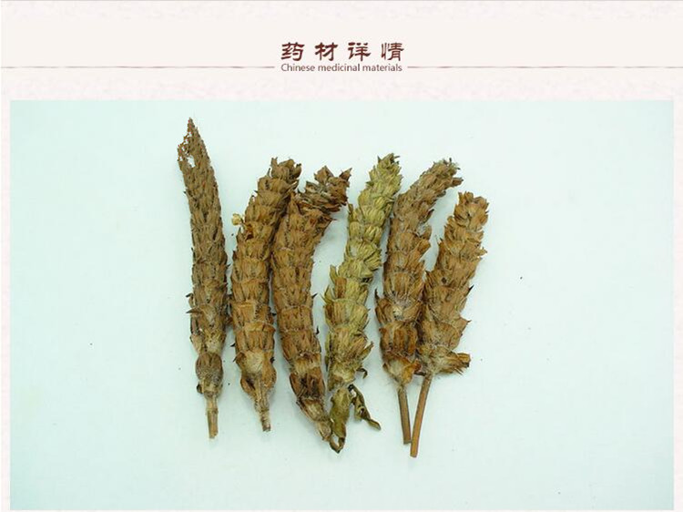夏枯草2.jpg