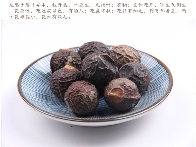 无患子4.jpg