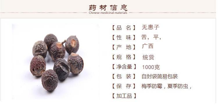 无患子1.jpg