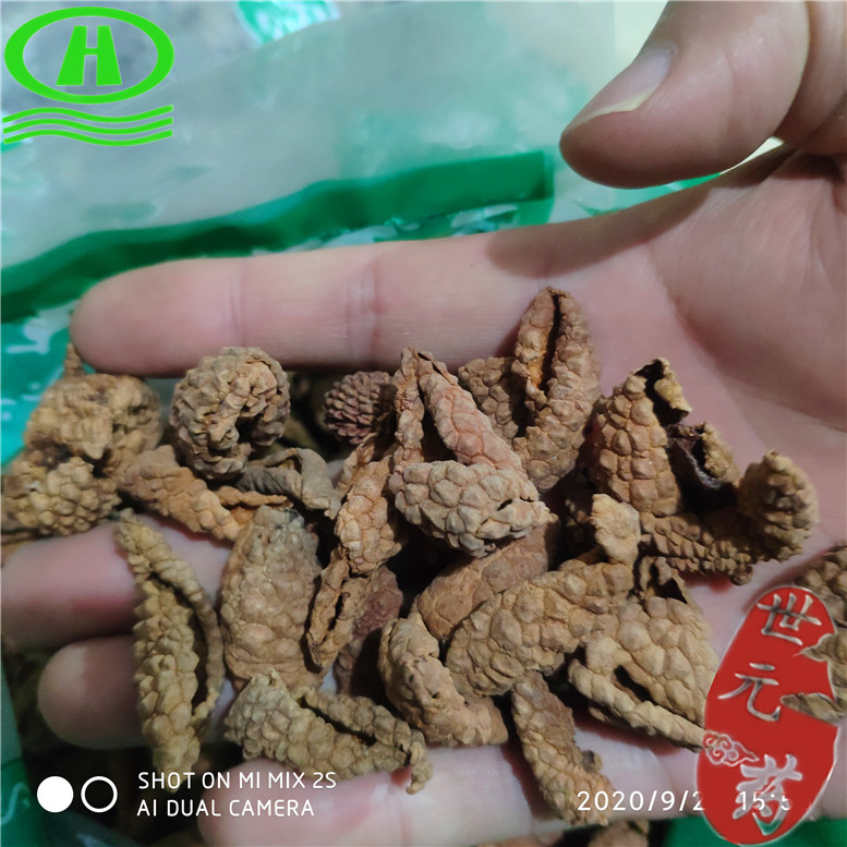 荔枝皮15康~05_副本.jpg