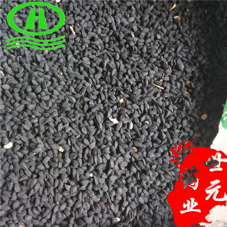 无硫当归小节长片30~07_副本.jpg