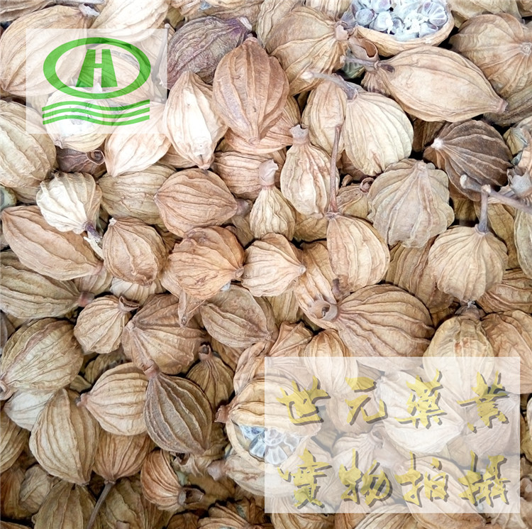 香砂75~051_副本.jpg