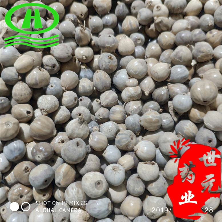 草珠子康20~06_副本.jpg