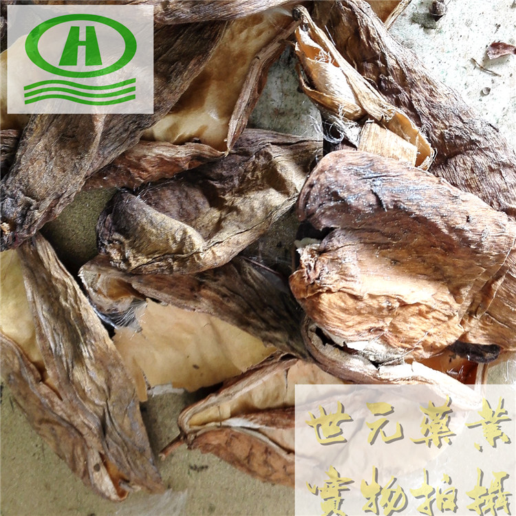 自然色山西丹参圆片18统片~09_副本.jpg