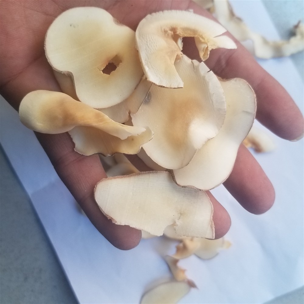 20190330_174331.jpg