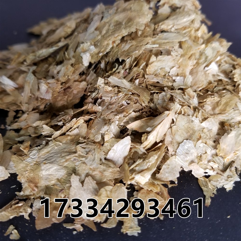 20181129_140704.jpg