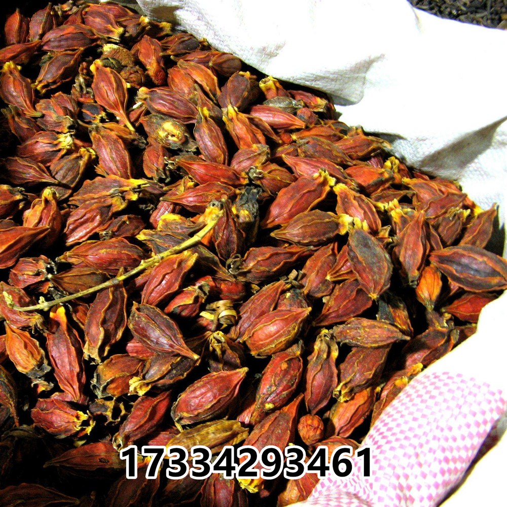 O1CN011SQsQd9qMPonSd9_!!794462242.jpg
