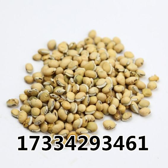 O1CN011SQsQir0y2ePuGe_!!794462242.jpg