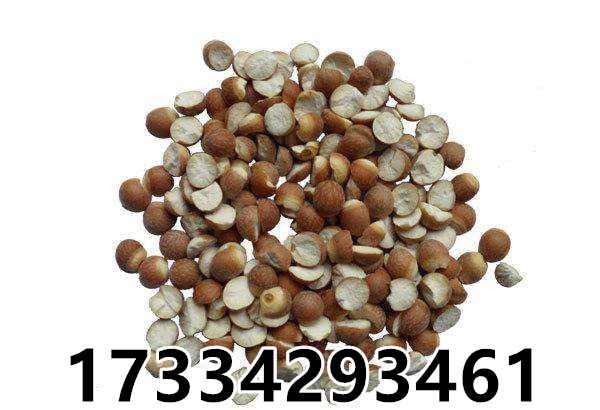 O1CN011SQsQpoUAoxKueN_!!794462242.jpg