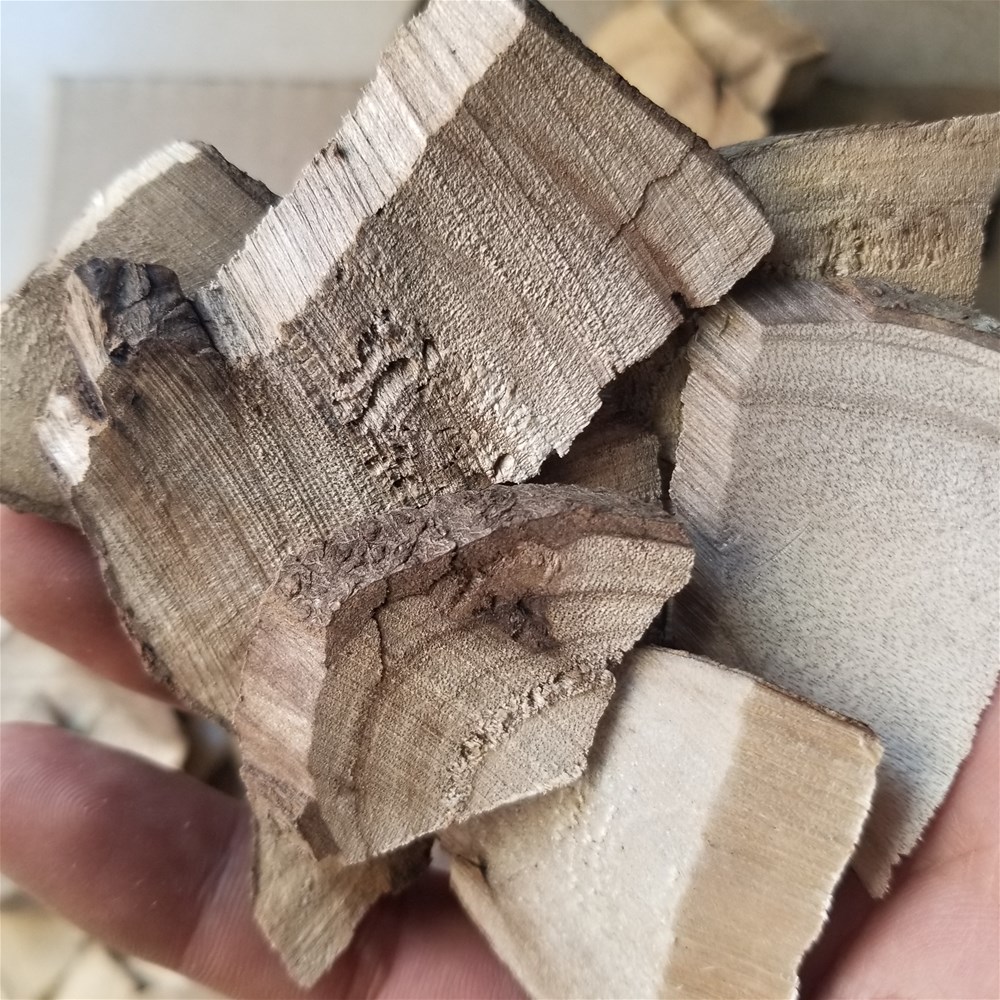 荜澄茄根 15.jpg