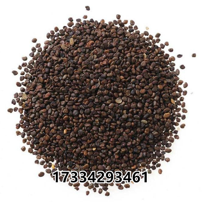 O1CN01Wy5guj1SQsT72buXR_!!794462242.jpg