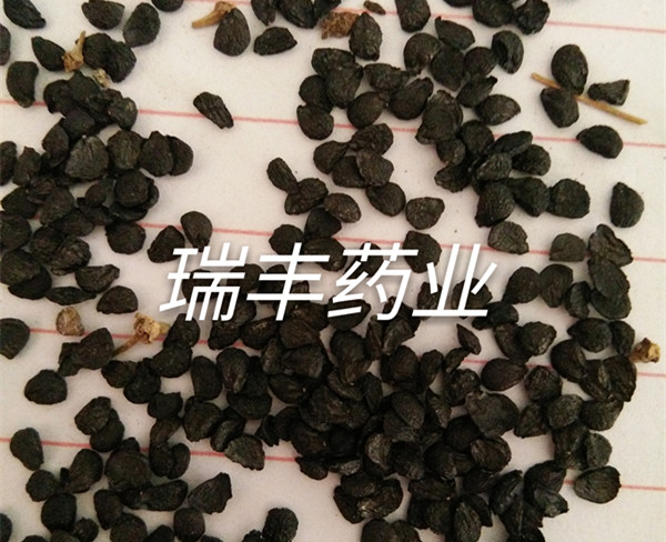 IMG_20161212_110809_mh1481531885086_副本.jpg
