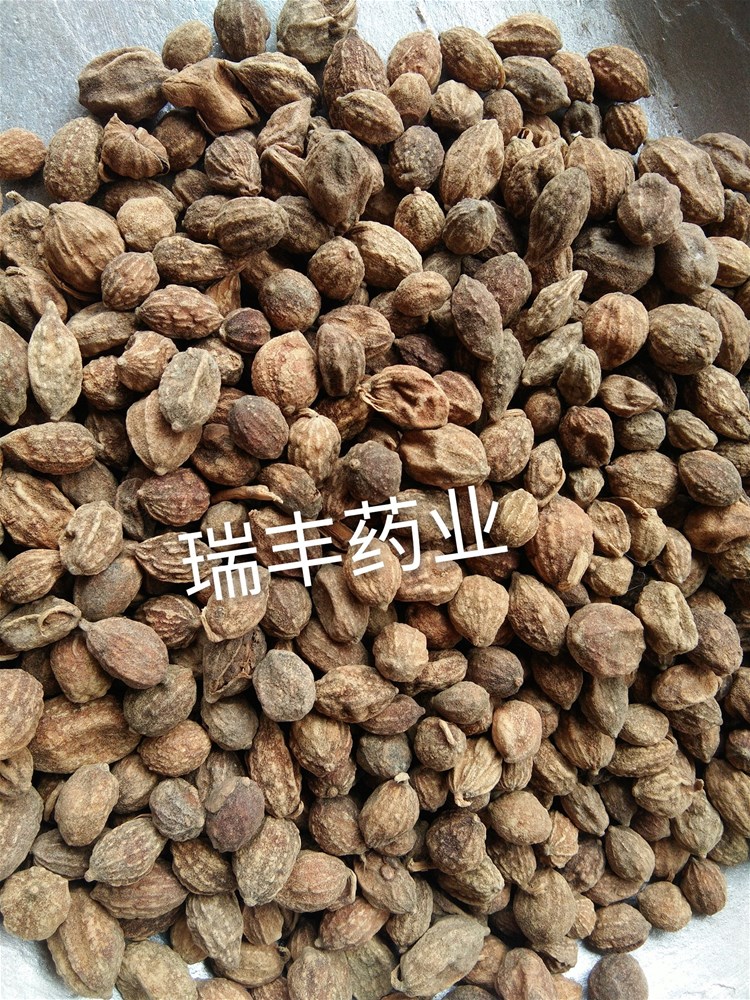 IMG_20171128_122252_mh1520685209611_副本.jpg