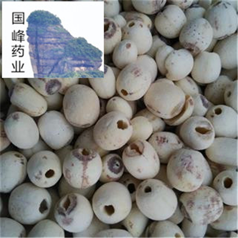 526234,320s_副本.jpg