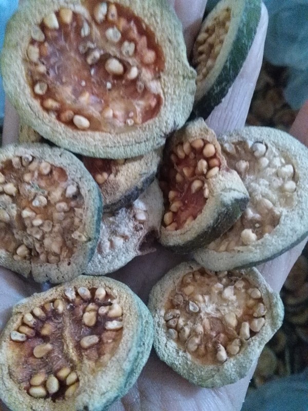 番石榴1.jpg