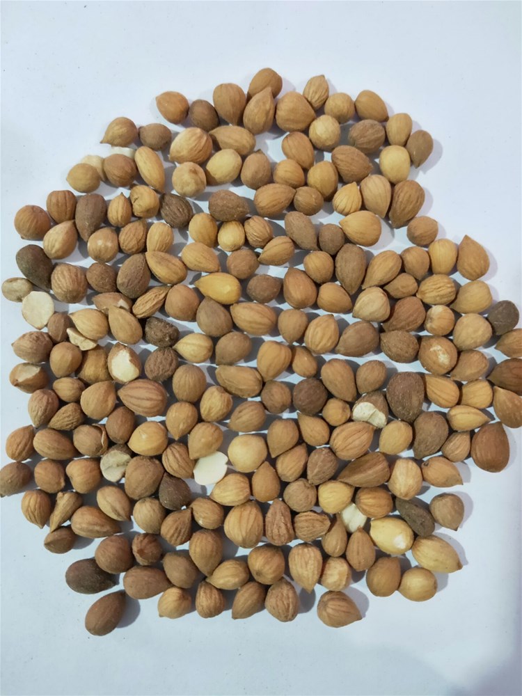 QQ图片20190304000051.jpg