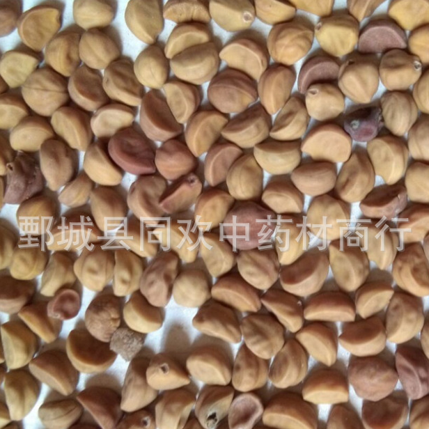 QQ截图20191205002152.png