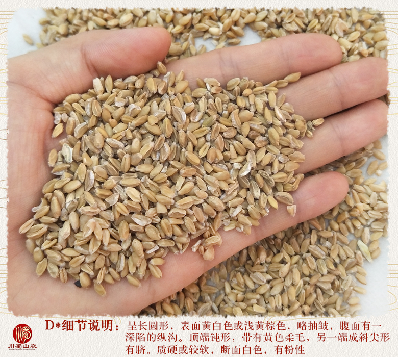 cstcssnfuxiaomaixuan011.jpg