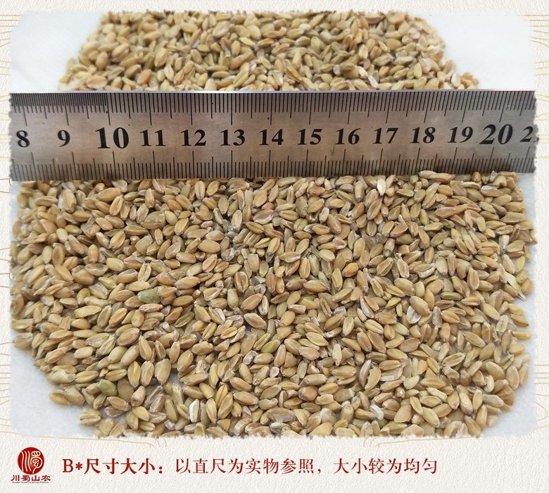 cstcssnfuxiaomaixuan09.jpg