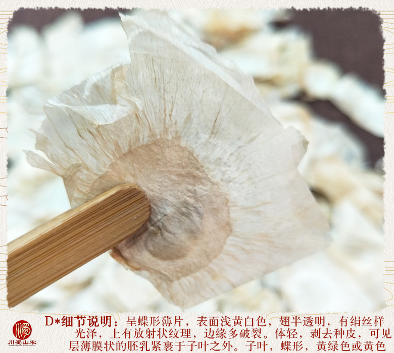 cstcssnmuhudiewuliutonghuo011.jpg