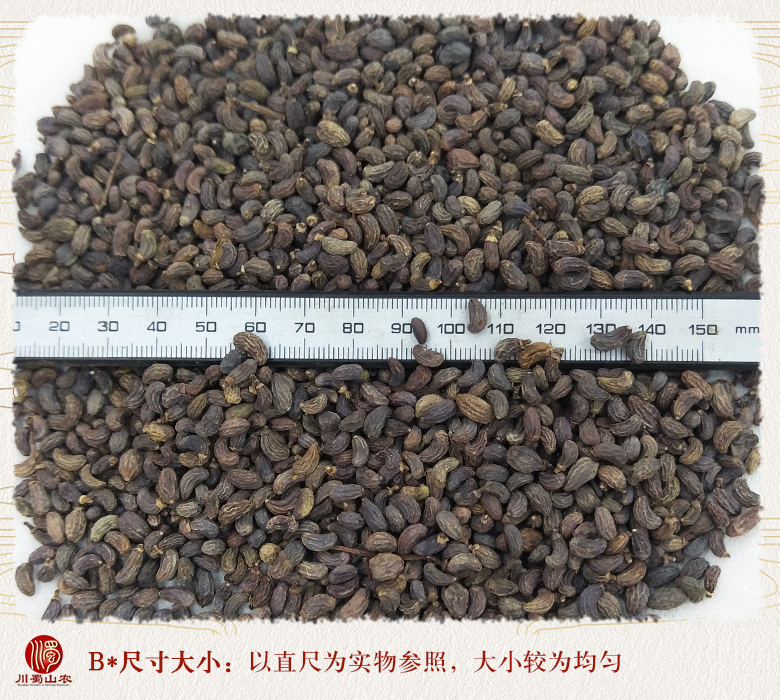 cstcssnnvzhenziyaoguoxingzhuang09.jpg