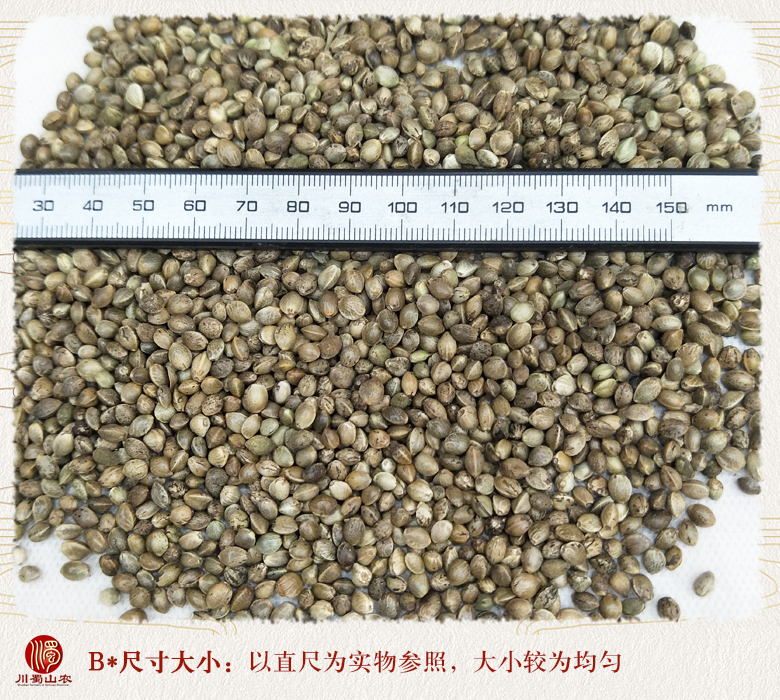 cstcssnhuomarendaike09.jpg