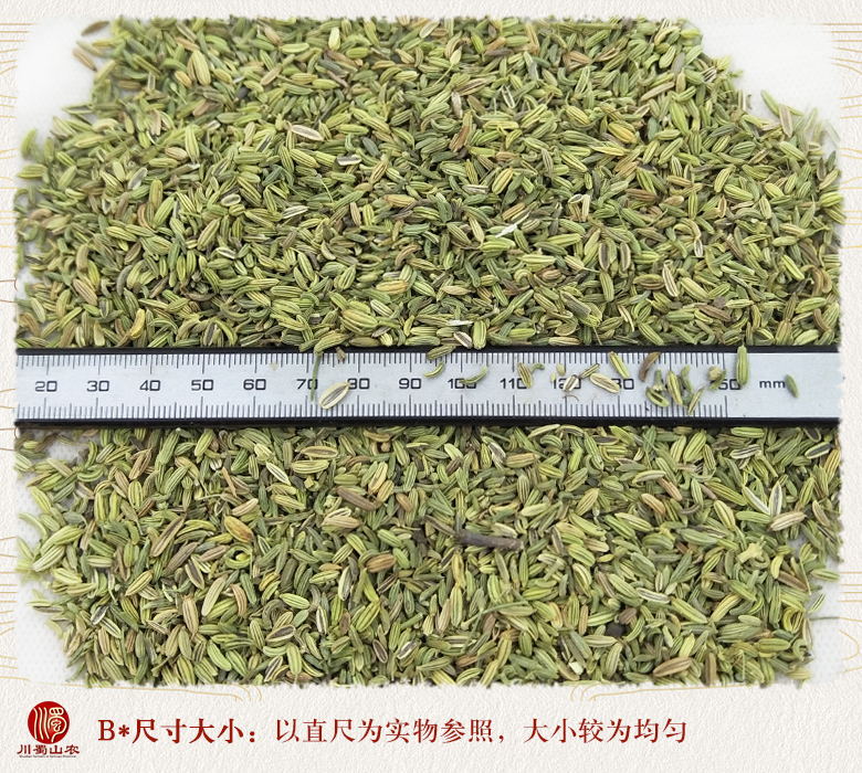 cstcssnxiaohuixiangqingse09.jpg